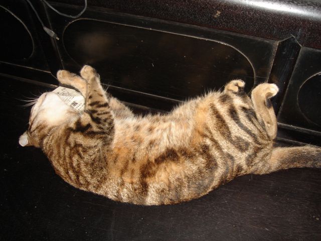 ˵