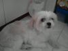 ♥ �� �f ~*0* ( �u �� )