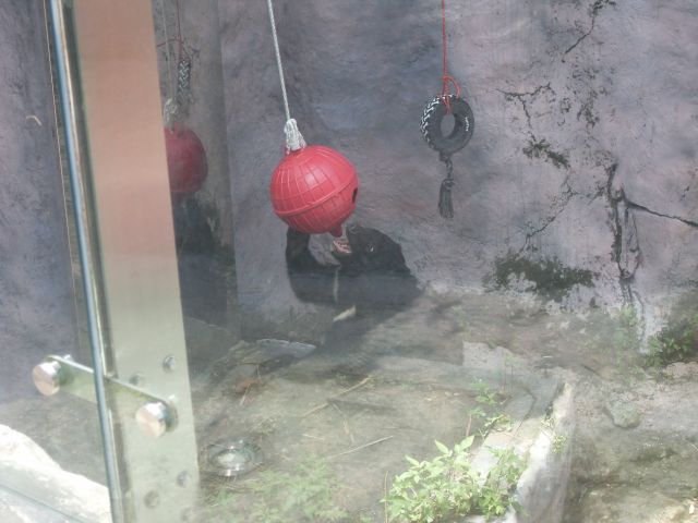 ˵