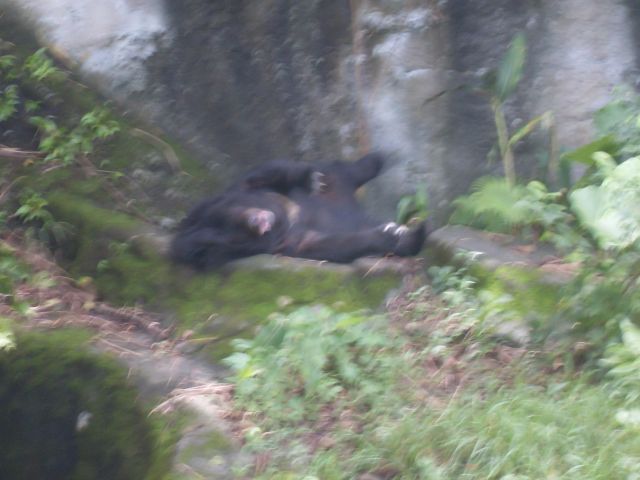 ˵