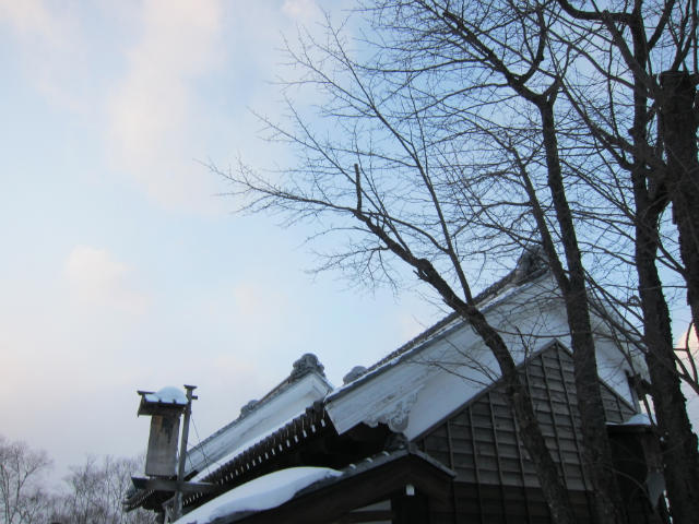 ˵