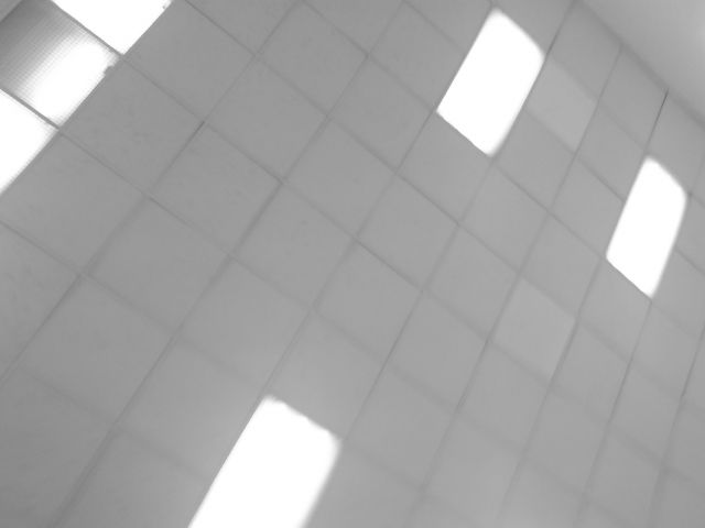 ˵
