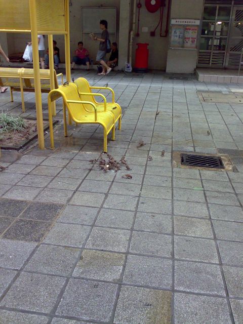 ˵