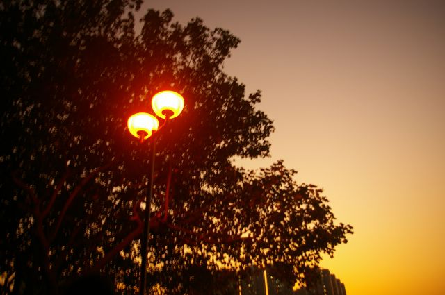˵