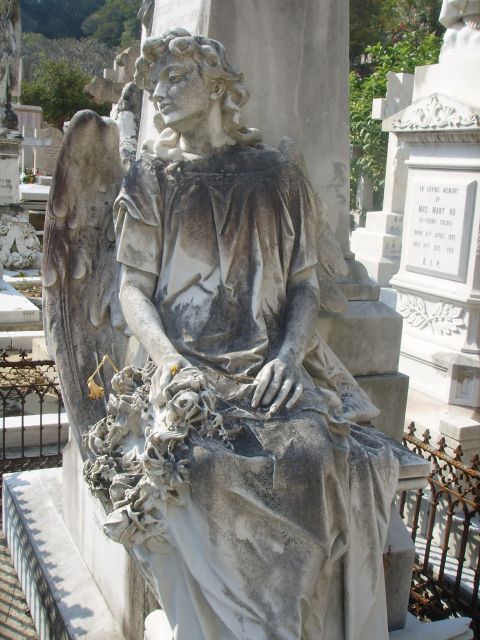 ˵