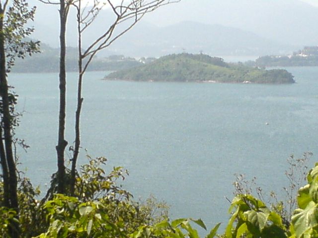 ˵