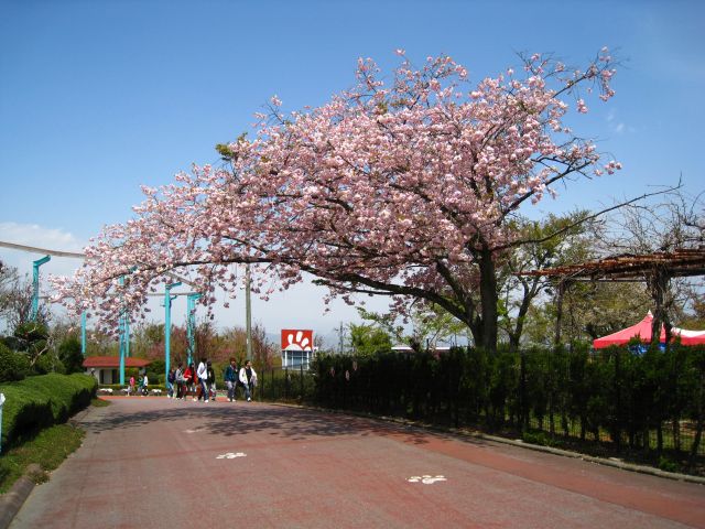 ˵
