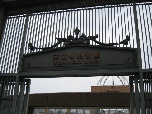 ˵