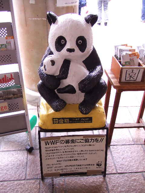 ˵