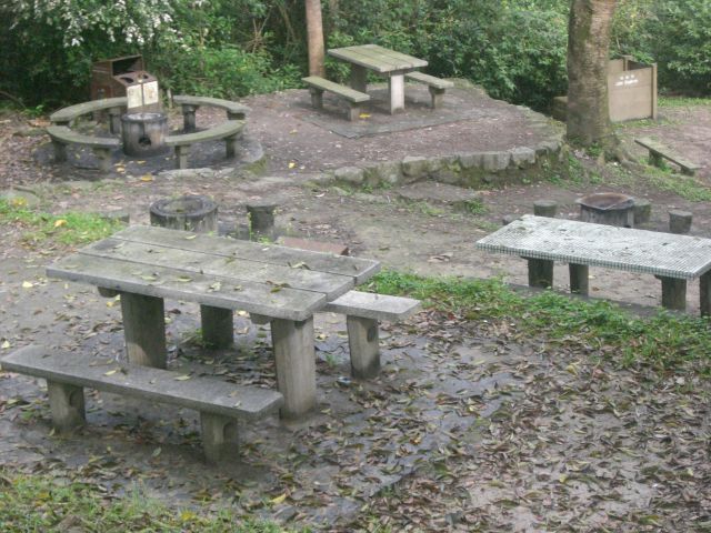 ˵