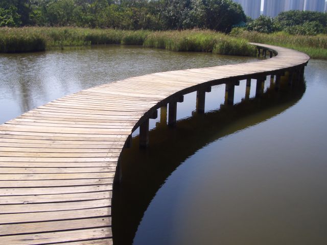 ˵