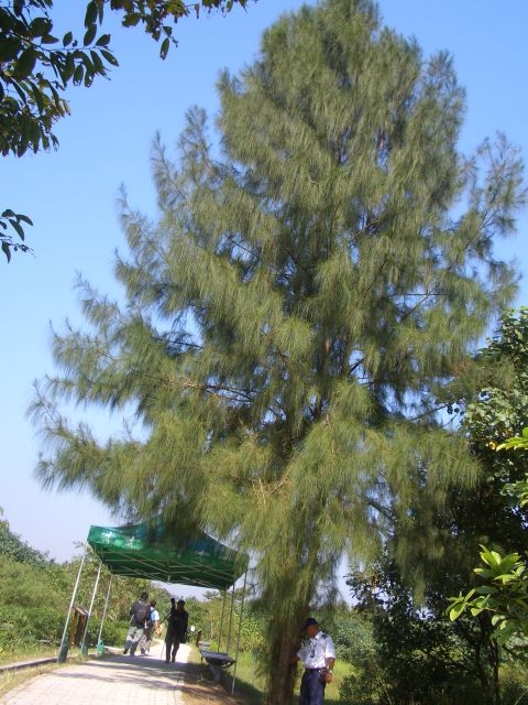 ˵