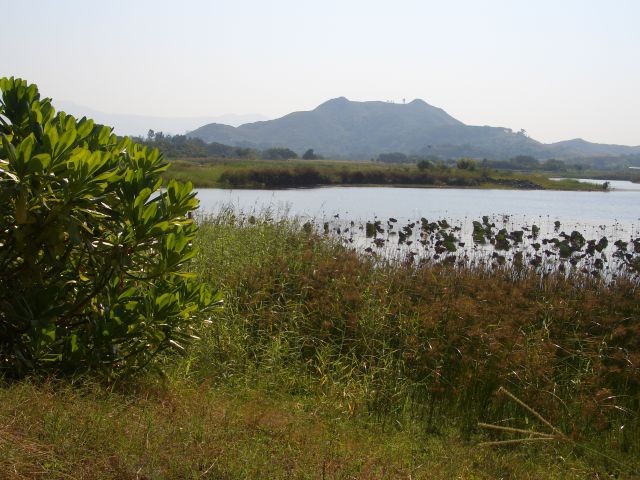 ˵