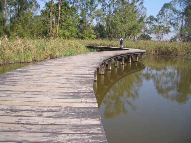˵