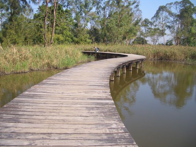 ˵