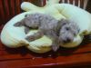 �ڪ��p�_��