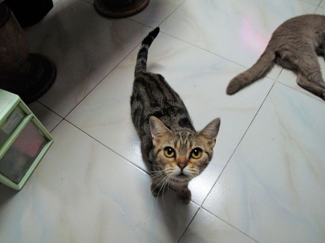 ˵