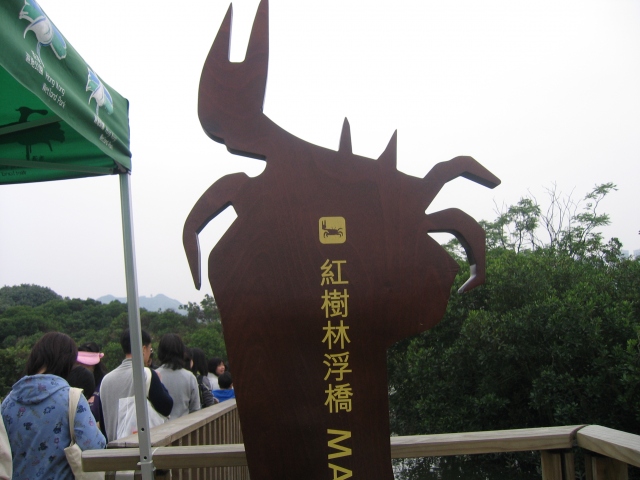 ˵