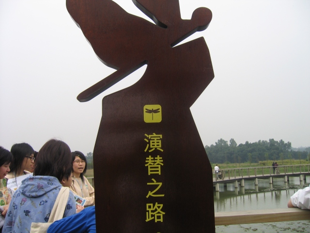 ˵