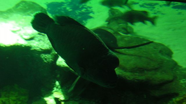 ˵