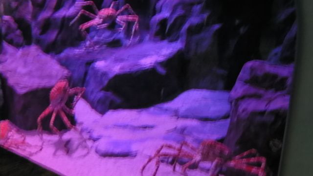 ˵