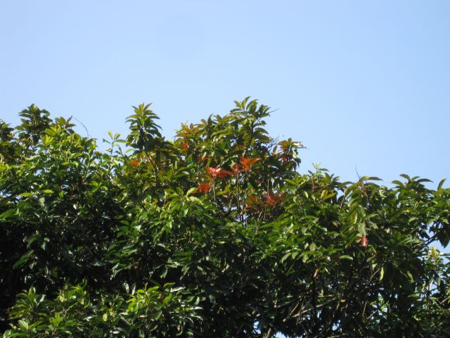˵
