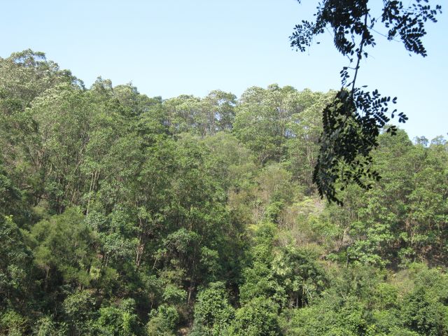 ˵