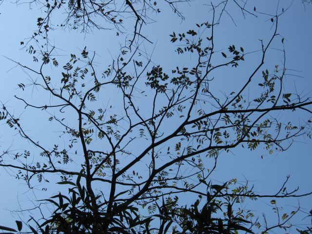˵