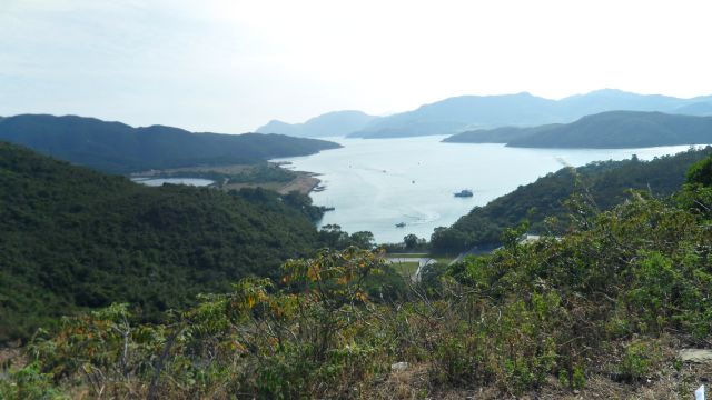 ˵