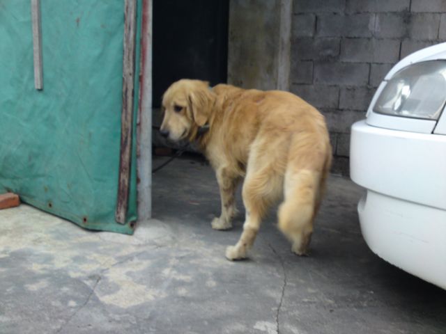 ˵