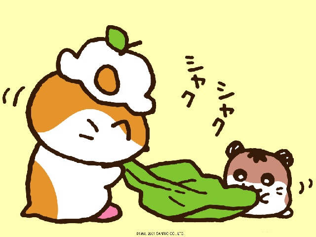 ˵