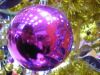 24.12.2007-���w�]