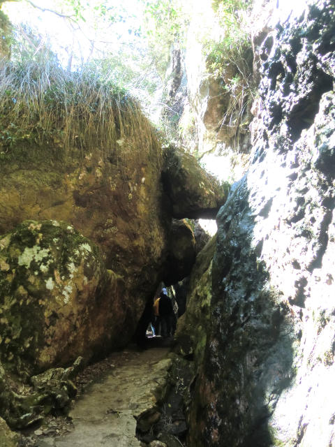 ˵