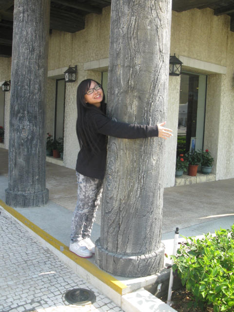 ˵